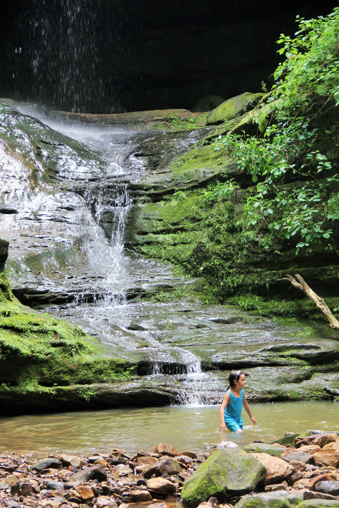 Ferne Clyffe Waterfall